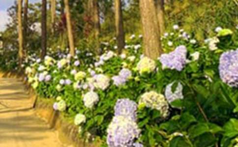 ���˵Ļ��@ͯԒ����