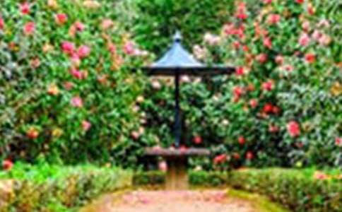 �Ҽҵ�С���@��������400�֣����x29ƪ��