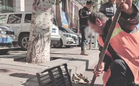 環(huán)衛(wèi)工人掃雪作文(8篇)