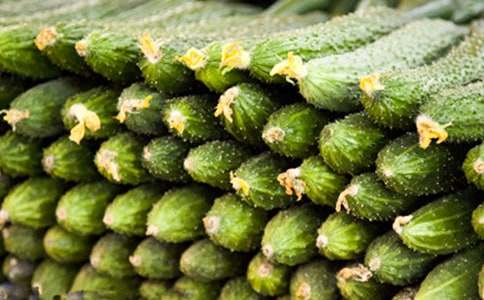 �茑�S�ϵ��������L