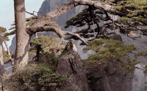 С�W�n�ġ��Sɽ��ʯ���̰������x16ƪ��