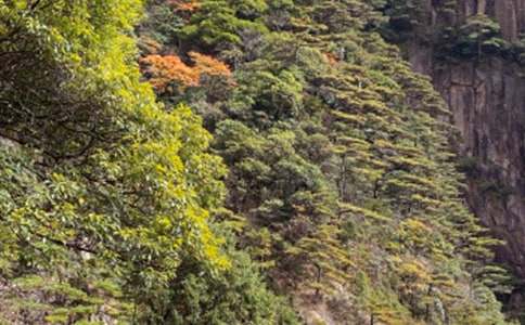 �Sɽ��ʯ�̌W(xu��)�O(sh��)Ӌ(j��)����