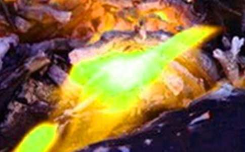 �A(y��)�����(z��i)��ȫ�̰�ģ�壨���x24ƪ��