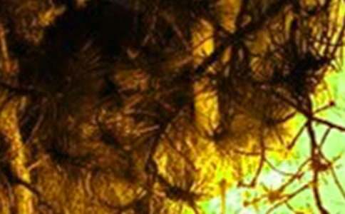 ���(z��i)�Ԅ�(d��ng)��(b��o)��ϵ�y(t��ng)���(xi��ng)��(f��)��(x��)�}