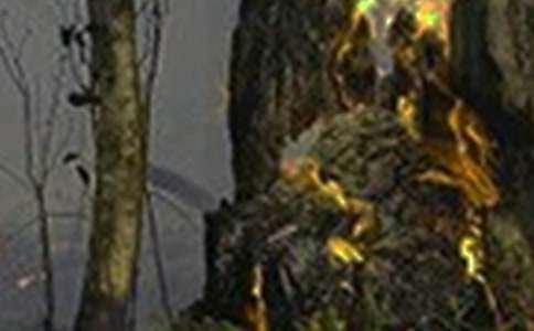 遠(yuǎn)離火災(zāi)珍愛生命作文(通用26篇)