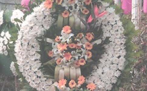 ����ĳ���ؑ�ĳ��Ƭ������