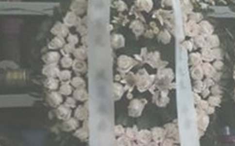 祭奠青春作文(精選27篇)