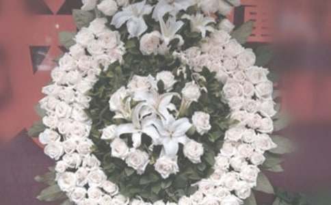 【推薦】用苜蓿祭奠那年初夏作文15篇