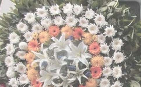 青春里的祭奠的高中作文