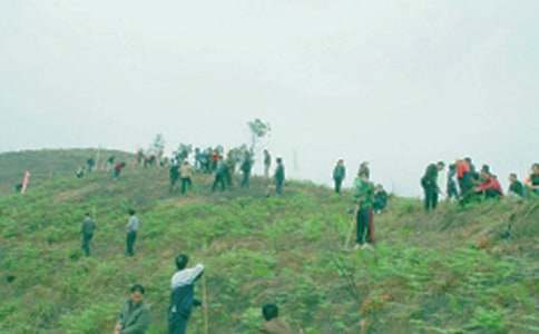 冬至祭祖習(xí)俗作文(通用53篇)