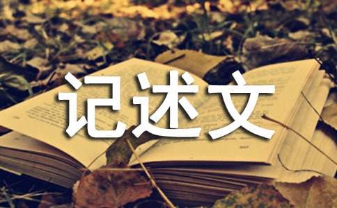 ���ɳ��˼�U��ӛ����