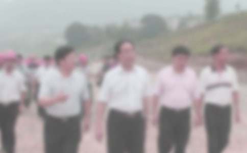 �o(j��)�z������Ӌ(j��)���������x20ƪ��