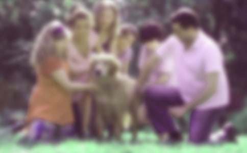 ��ͥ���������ģ����x38ƪ��