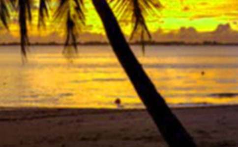 ������һ�������ģ����x29ƪ��