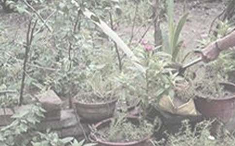 �������D����8ƪ