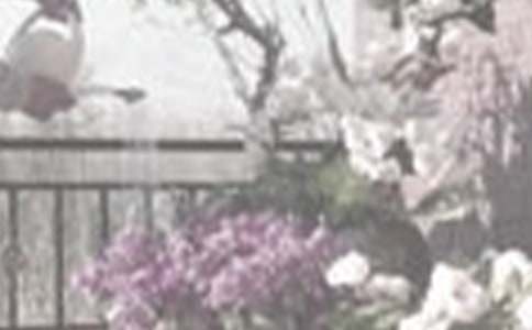 �������D��(xi��)Ԓ����