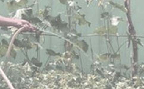 ����С�W���ģ�ͨ��34ƪ��