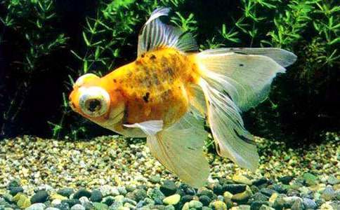 С���~��β�����g(sh��)�̰�