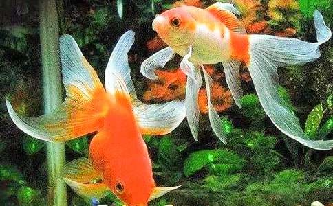 �����á����~�^������3ƪ