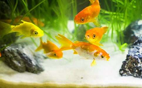 �^����~������