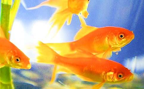 ���؂䡿���~�^��������ƪ