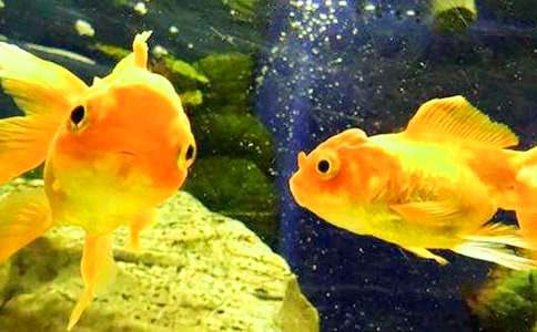 �^����~����500��