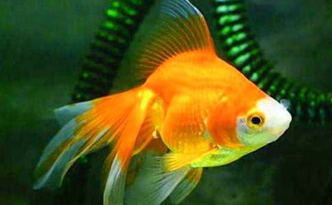 �I���~����300�֣�ͨ��35ƪ��