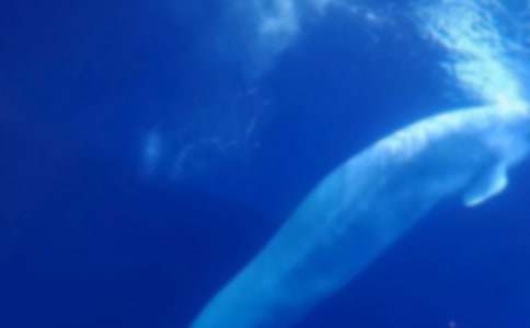 �ҵ�һ�ο��L�~С�W(xu��)������