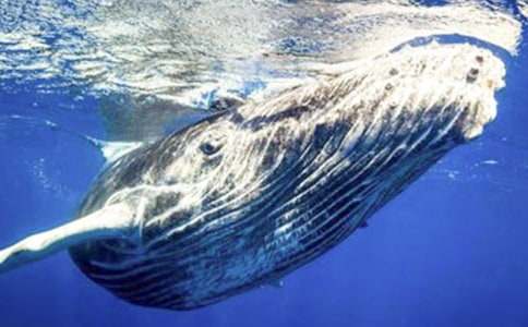 �Ұl(f��)�F(xi��n)�L�~���������ģ����x3ƪ��