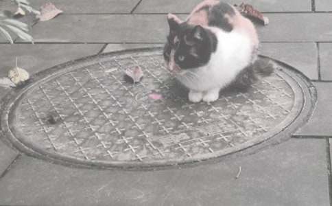 �w�þ��w����200��