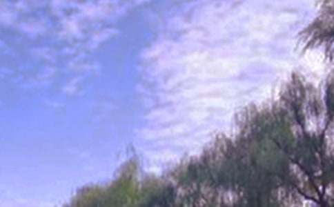 描寫公園景色的作文(精選35篇)