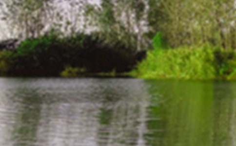 描寫美麗景色的作文(通用47篇)