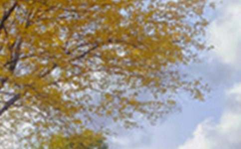 �茑���@��ɫ������700�� ���@��ͤ