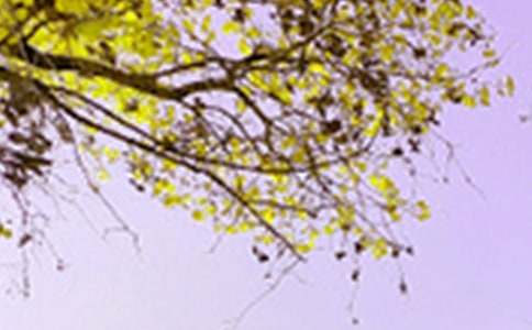 �茑��Ȼ��ɫ�Č����ز�