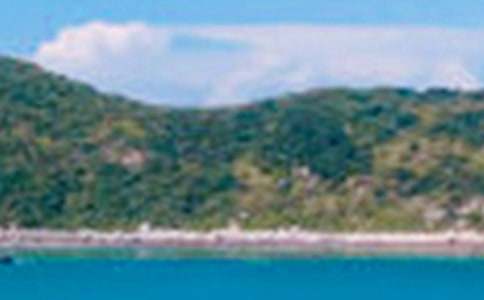 �茑���@�ľ�ɫ����