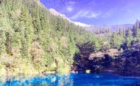 ͯԒ�����կ������(���x9ƪ)