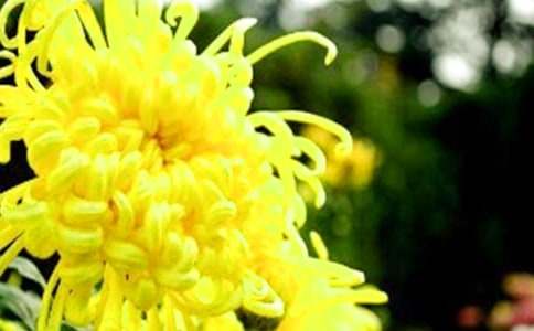 ���ջ���һ�n�r�̰�����