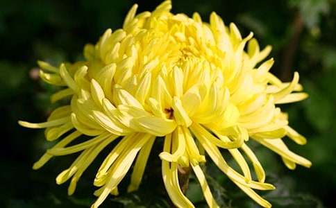 ���؂䡿���ջ�������ƪ