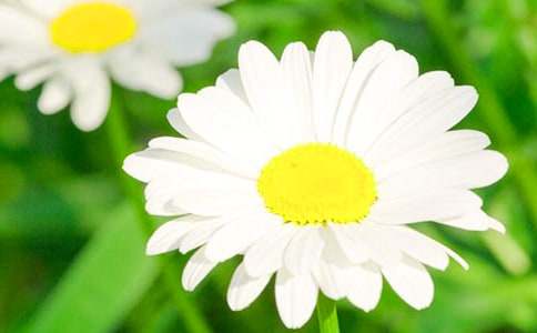 �׃��L���̰���С�ջ���