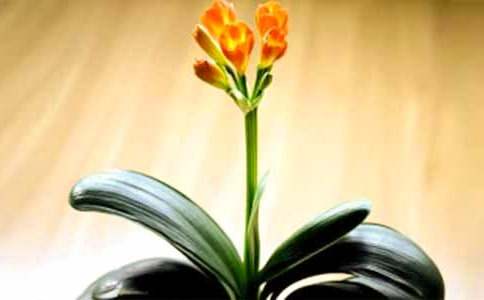 �����ľ����m���ģ�ͨ��33ƪ��