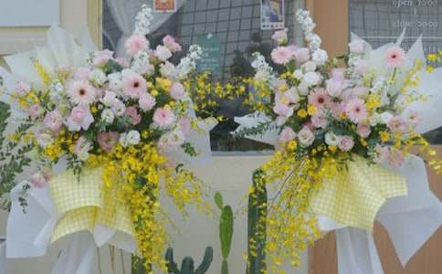 �µ��_������Ո(q��ng)��