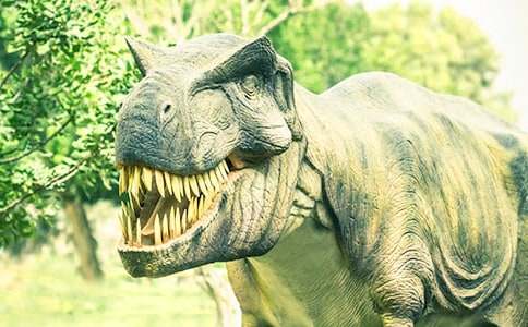 �а�ƌW(xu��)����n��������̽�ء��̰�