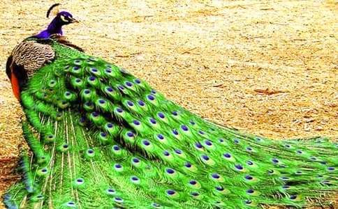 С�����g�������Ŀ�ȸ���̰������x12ƪ��