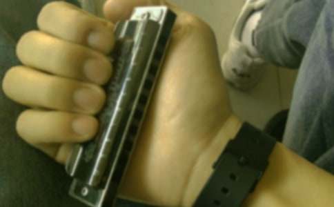 【精選】口琴作文300字4篇