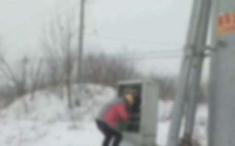 寬帶網(wǎng)上的暑假生活_800字