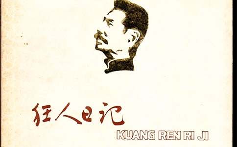 魯迅《狂人日記》讀書筆記范文(通用19篇)