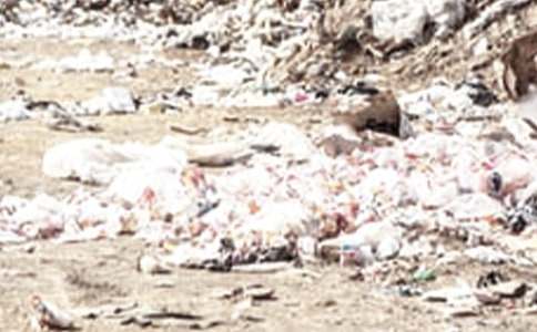 С�������(y��u)��̰����h(hu��n)���������Ŀ�����