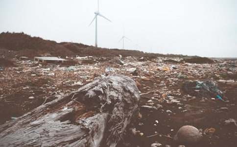 小學(xué)作文學(xué)習(xí)丟垃圾