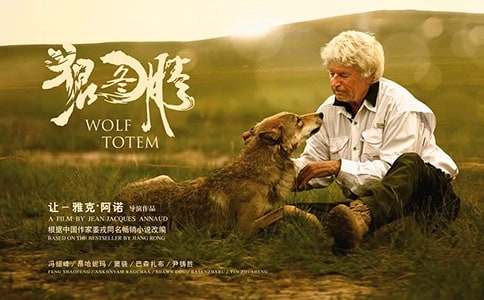《狼圖騰》觀后感(通用36篇)