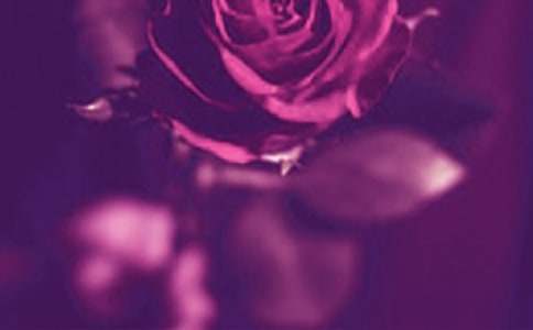 ��ʽ�����������W�]Ļʽ�^��У����x13ƪ��